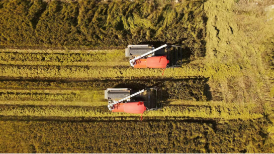 1700534007310419.jpg 1700534043960.jpg